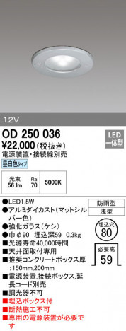 ODELIC ǥå ƥꥢ饤 OD250036 ñʲ