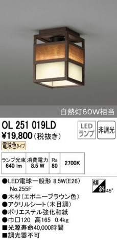 ODELIC �����ǥ�å� ����������󥰥饤�� OL251019LD ñ�ʲ���