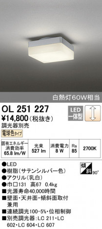 ODELIC �����ǥ�å� ����������󥰥饤�� OL251227 ñ�ʲ���