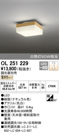 ODELIC �����ǥ�å� ����������󥰥饤�� OL251229 ñ�ʲ���