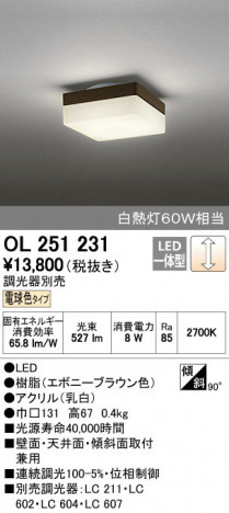 ODELIC �����ǥ�å� ����������󥰥饤�� OL251231 ñ�ʲ���