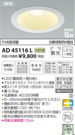 �������߾��� KOIZUMI �ⵤ̩������饤�� LED���ŵ忧�����򿧡� AD45116L �ᥤ��̿�