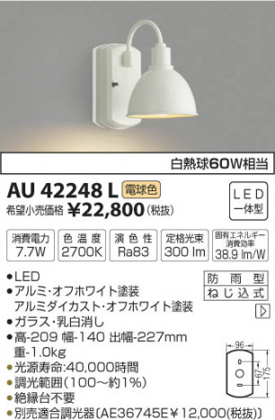 �������߾��� KOIZUMI �ɱ����֥饱�å� LED���ŵ忧�� AU42248L �ᥤ��̿�