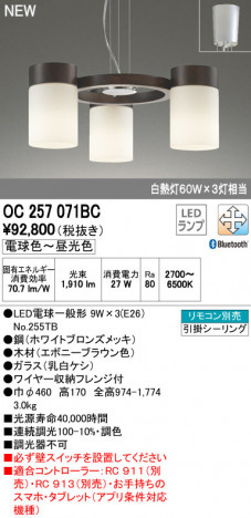 ODELIC �����ǥ�å� �����ǥꥢ OC257071BC �ᥤ��̿�