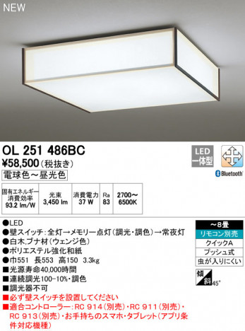 ODELIC �����ǥ�å� ������󥰥饤�� OL251486BC �ᥤ��̿�