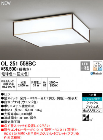 ODELIC �����ǥ�å� ������󥰥饤�� OL251558BC �ᥤ��̿�