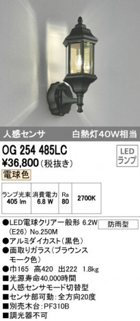 ODELIC �����ǥ�å� �������ƥꥢ�饤�� OG254485LC �ᥤ��̿�