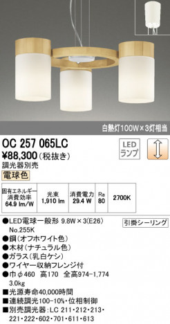 ODELIC �����ǥ�å� �����ǥꥢ OC257065LC �ᥤ��̿�