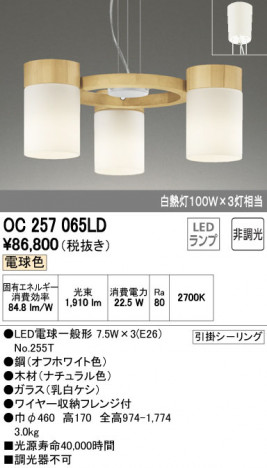 ODELIC �����ǥ�å� �����ǥꥢ OC257065LD �ᥤ��̿�