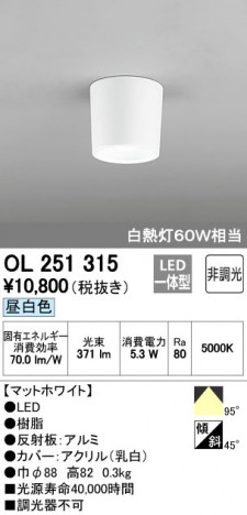 ODELIC �����ǥ�å� ����������󥰥饤�� OL251315 �ᥤ��̿�