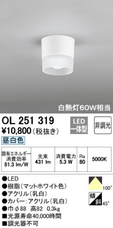 ODELIC ǥå 󥰥饤 OL251319 ᥤ̿