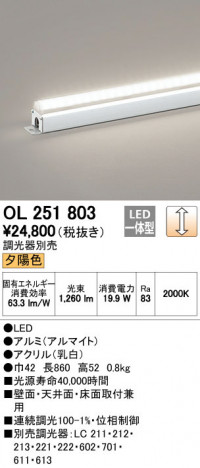 ODELIC �����ǥ�å� �����Ѵ��ܾ��� OL251803 �ᥤ��̿�