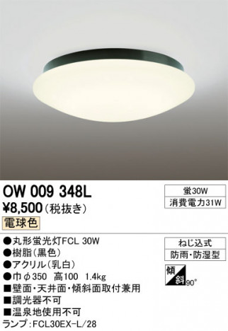 ODELIC ǥå ƥꥢ饤 OW009348L ᥤ̿