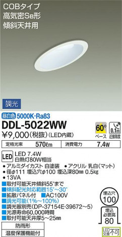 ���ʼ̿���DAIKO ����ŵ� LED ������饤��(��������) DDL-5022WW