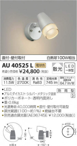�������߾��� KOIZUMI LED �����ȥɥ����ݥåȥ饤�� AU40525L �ᥤ��̿�