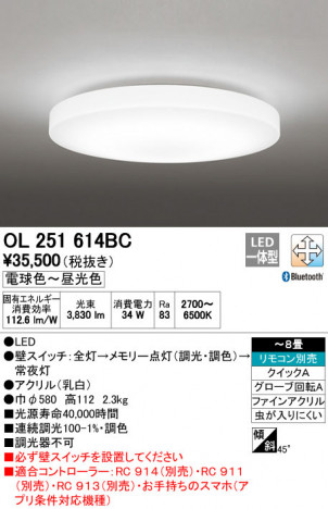 ODELIC �����ǥ�å� LED ������󥰥饤�� OL251614BC �ᥤ��̿�