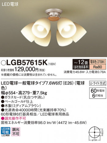 Panasonic �����ǥꥢ LGB57615K �ᥤ��̿�