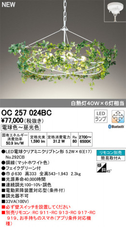 ODELIC �����ǥ�å� �����ǥꥢ OC257024BC �ᥤ��̿�