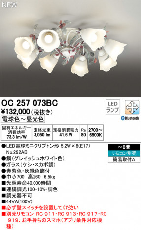 ODELIC ǥå ǥꥢ OC257073BC ᥤ̿