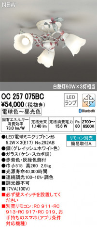 ODELIC �����ǥ�å� �����ǥꥢ OC257075BC �ᥤ��̿�