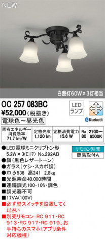 ODELIC �����ǥ�å� �����ǥꥢ OC257083BC �ᥤ��̿�