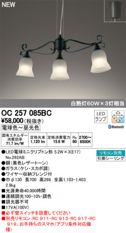 ODELIC ǥå ǥꥢ OC257085BC ᥤ̿