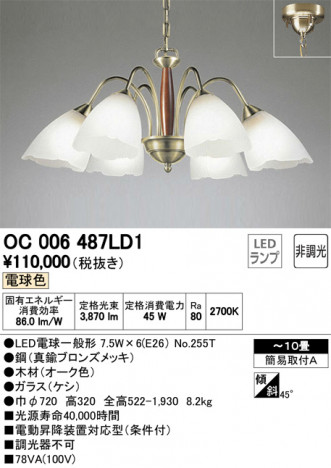 ODELIC �����ǥ�å� �����ǥꥢ OC006487LD1 �ᥤ��̿�