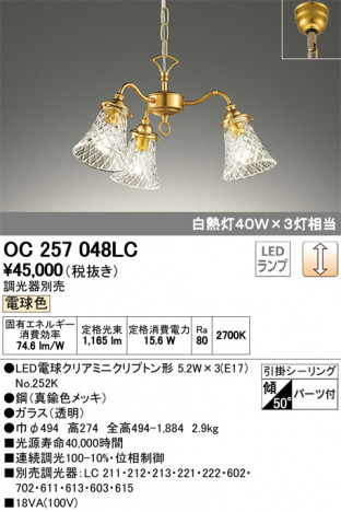 ODELIC �����ǥ�å� �����ǥꥢ OC257048LC �ᥤ��̿�