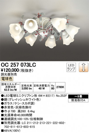 ODELIC �����ǥ�å� �����ǥꥢ OC257073LC �ᥤ��̿�