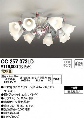 ODELIC �����ǥ�å� �����ǥꥢ OC257073LD �ᥤ��̿�