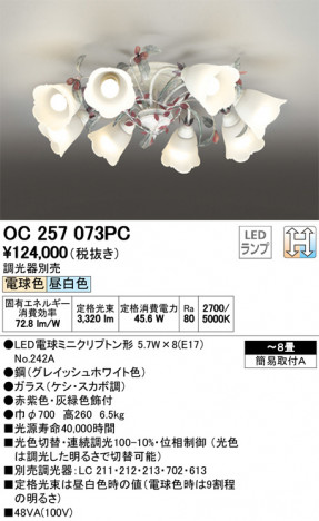 ODELIC ǥå ǥꥢ OC257073PC ᥤ̿