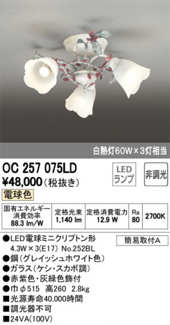 ODELIC �����ǥ�å� �����ǥꥢ OC257075LD �ᥤ��̿�