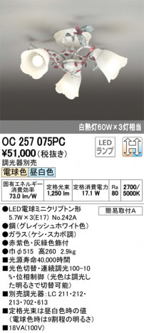 ODELIC �����ǥ�å� �����ǥꥢ OC257075PC �ᥤ��̿�