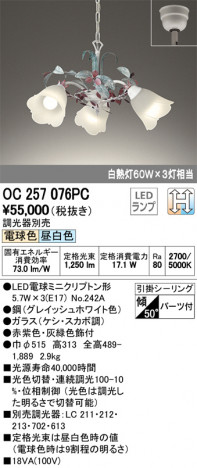 ODELIC �����ǥ�å� �����ǥꥢ OC257076PC �ᥤ��̿�