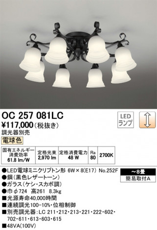 ODELIC �����ǥ�å� �����ǥꥢ OC257081LC �ᥤ��̿�