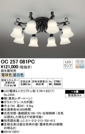 ODELIC �����ǥ�å� �����ǥꥢ OC257081PC �ᥤ��̿�