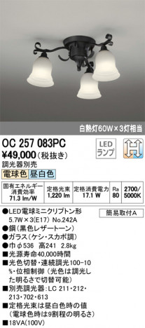 ODELIC �����ǥ�å� �����ǥꥢ OC257083PC �ᥤ��̿�