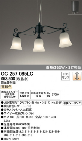 ODELIC �����ǥ�å� �����ǥꥢ OC257085LC �ᥤ��̿�