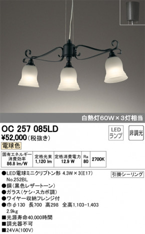 ODELIC �����ǥ�å� �����ǥꥢ OC257085LD �ᥤ��̿�