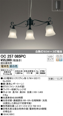 ODELIC �����ǥ�å� �����ǥꥢ OC257085PC �ᥤ��̿�