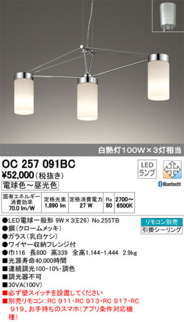 ODELIC �����ǥ�å� �����ǥꥢ OC257091BC �ᥤ��̿�