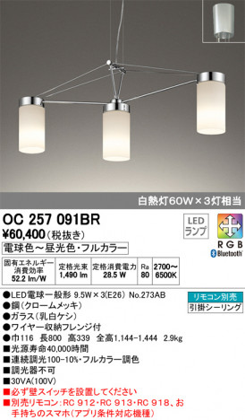 ODELIC �����ǥ�å� �����ǥꥢ OC257091BR �ᥤ��̿�