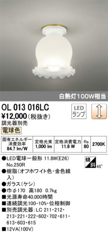 ODELIC �����ǥ�å� ����������󥰥饤�� OL013016LC �ᥤ��̿�