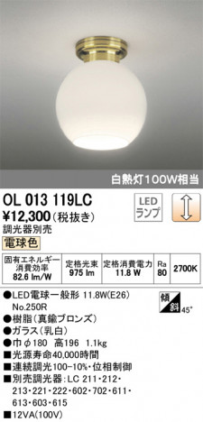 ODELIC �����ǥ�å� ����������󥰥饤�� OL013119LC �ᥤ��̿�