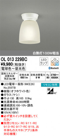 ODELIC �����ǥ�å� ����������󥰥饤�� OL013229BC �ᥤ��̿�