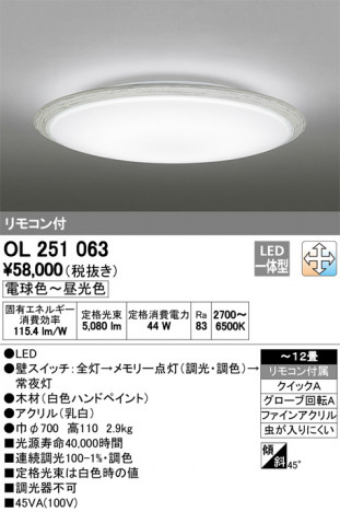 ODELIC �����ǥ�å� ������󥰥饤�� OL251063 �ᥤ��̿�