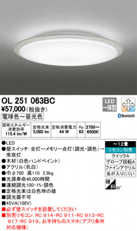 ODELIC �����ǥ�å� ������󥰥饤�� OL251063BC �ᥤ��̿�