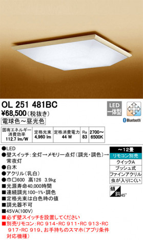 ODELIC �����ǥ�å� ������󥰥饤�� OL251481BC �ᥤ��̿�