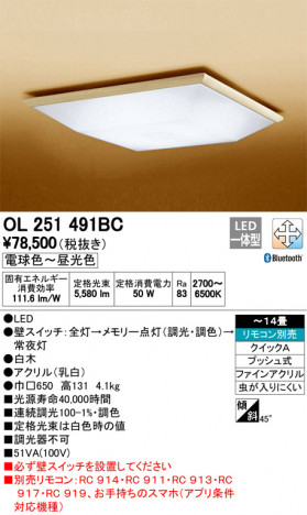 ODELIC �����ǥ�å� ������󥰥饤�� OL251491BC �ᥤ��̿�