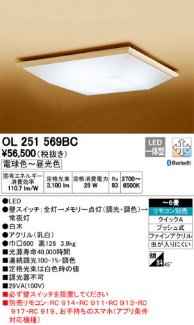 ODELIC �����ǥ�å� ������󥰥饤�� OL251569BC �ᥤ��̿�